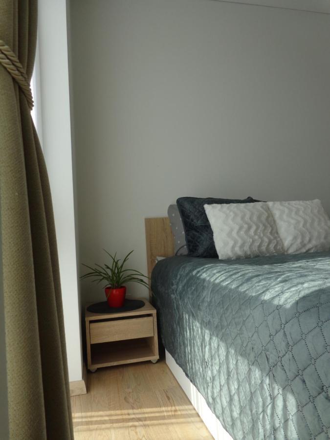 Elzbietos Centro Apartamentai Вильнюс Экстерьер фото