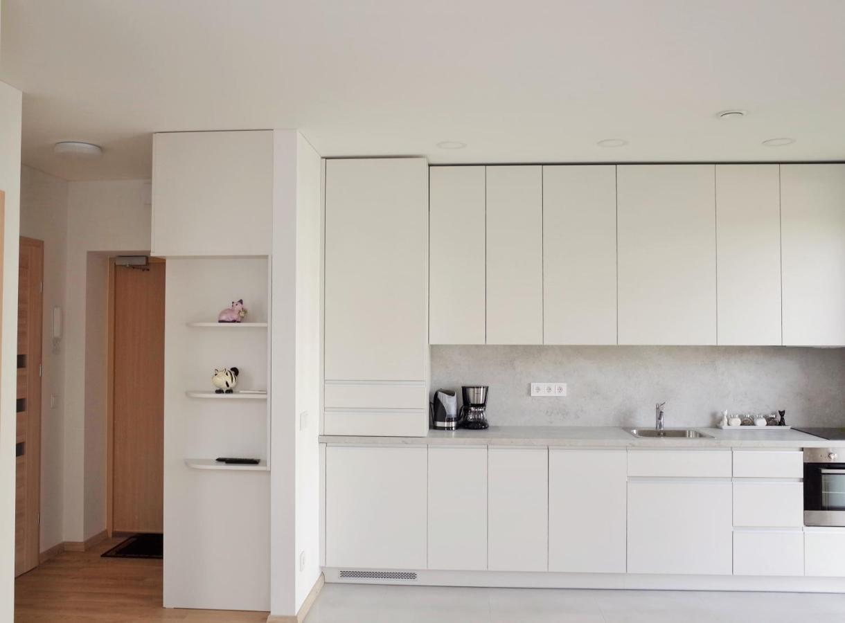 Elzbietos Centro Apartamentai Вильнюс Экстерьер фото